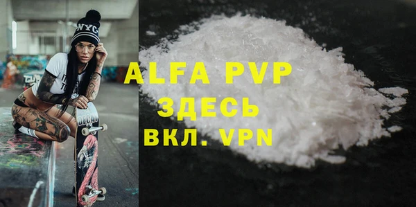 дмт Бородино