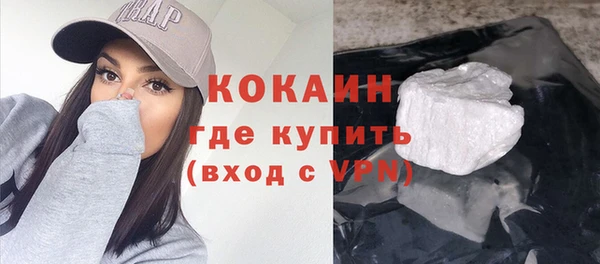 дмт Бородино