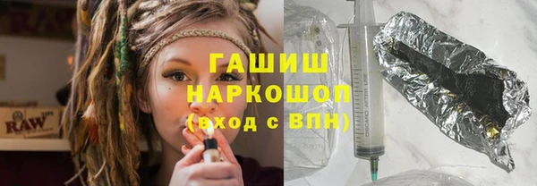 дмт Бородино