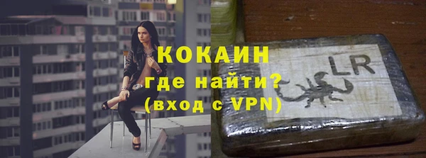 ПСИЛОЦИБИНОВЫЕ ГРИБЫ Богданович