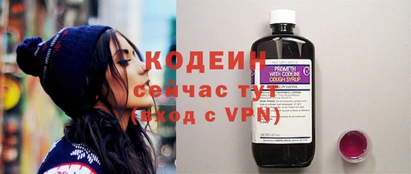 дмт Бородино