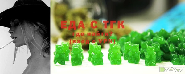 дмт Бородино