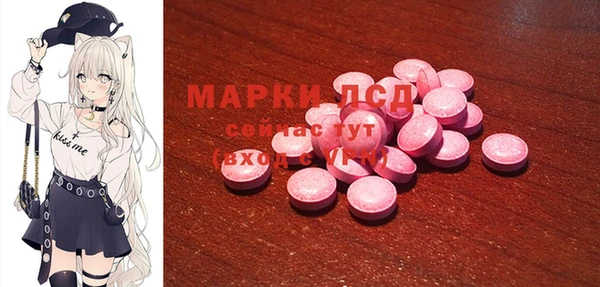 стаф Бронницы