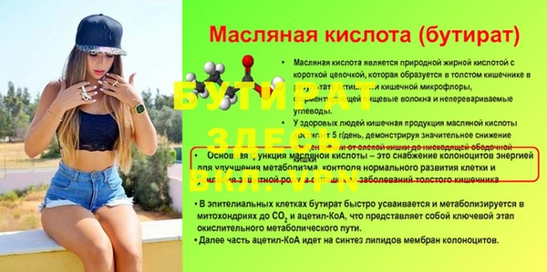 дмт Бородино