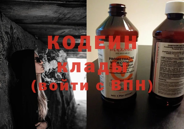 дмт Бородино