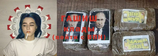 дмт Бородино