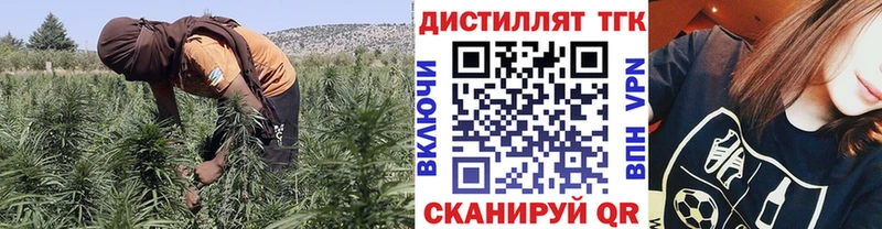 Дистиллят ТГК вейп с тгк  Купить закладки  Питкяранта 