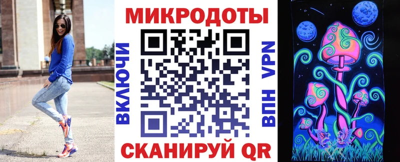 Купить закладки  Питкяранта  Галлюциногенные грибы GOLDEN TEACHER 